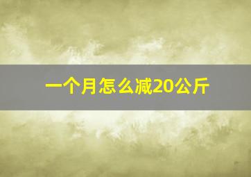 一个月怎么减20公斤