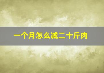 一个月怎么减二十斤肉