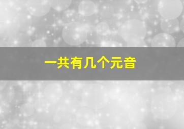 一共有几个元音