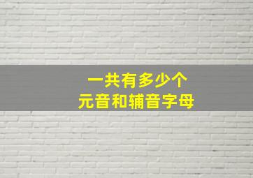 一共有多少个元音和辅音字母