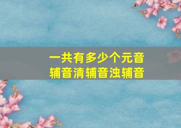 一共有多少个元音辅音清辅音浊辅音