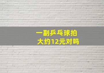 一副乒乓球拍大约12元对吗