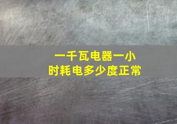 一千瓦电器一小时耗电多少度正常