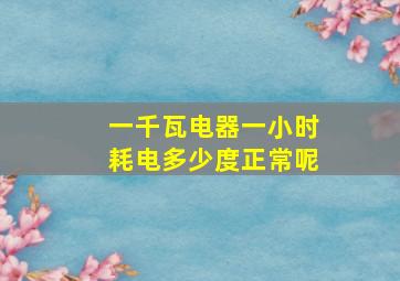 一千瓦电器一小时耗电多少度正常呢