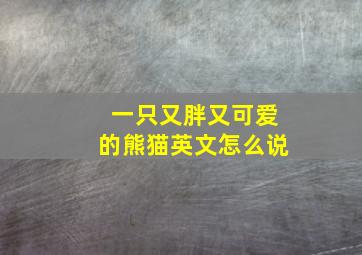 一只又胖又可爱的熊猫英文怎么说