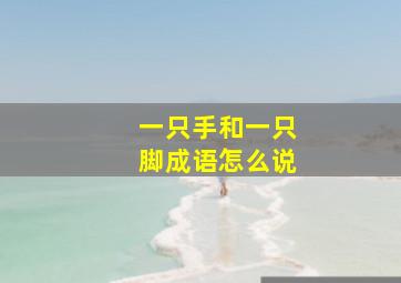 一只手和一只脚成语怎么说