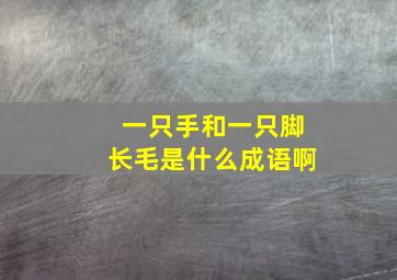 一只手和一只脚长毛是什么成语啊