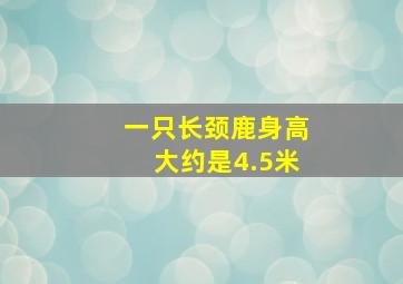 一只长颈鹿身高大约是4.5米