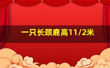 一只长颈鹿高11/2米