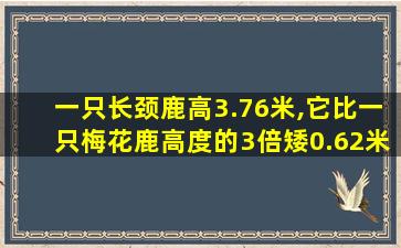 一只长颈鹿高3.76米,它比一只梅花鹿高度的3倍矮0.62米