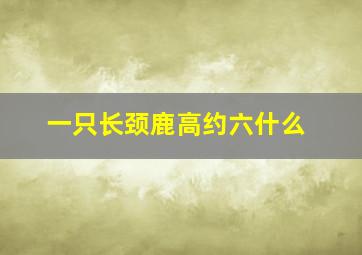 一只长颈鹿高约六什么