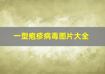 一型疱疹病毒图片大全