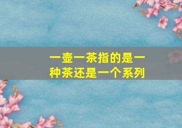 一壶一茶指的是一种茶还是一个系列