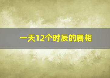 一天12个时辰的属相