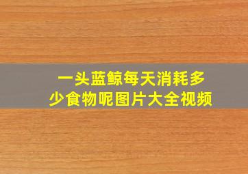 一头蓝鲸每天消耗多少食物呢图片大全视频