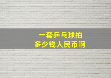 一套乒乓球拍多少钱人民币啊