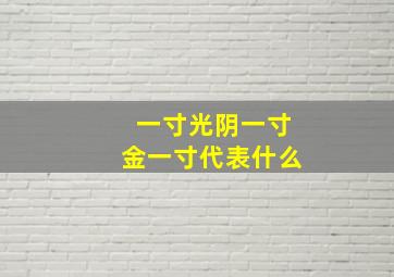 一寸光阴一寸金一寸代表什么