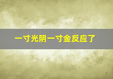 一寸光阴一寸金反应了