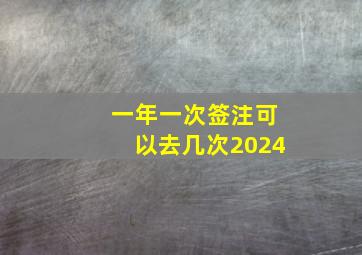 一年一次签注可以去几次2024