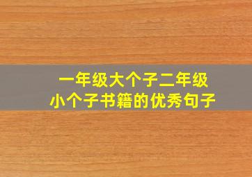 一年级大个子二年级小个子书籍的优秀句子