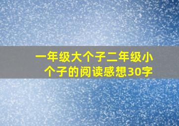 一年级大个子二年级小个子的阅读感想30字