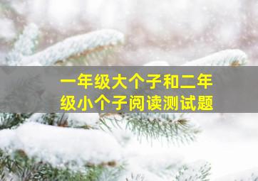 一年级大个子和二年级小个子阅读测试题