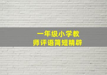 一年级小学教师评语简短精辟