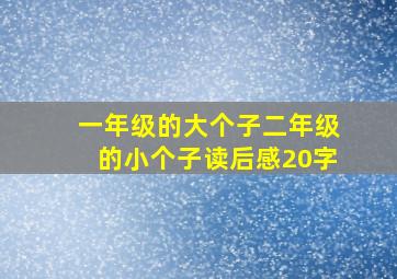 一年级的大个子二年级的小个子读后感20字