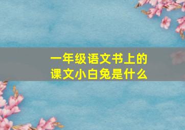 一年级语文书上的课文小白兔是什么