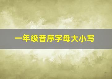 一年级音序字母大小写