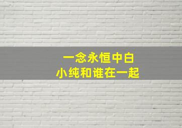 一念永恒中白小纯和谁在一起