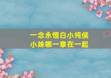 一念永恒白小纯侯小妹哪一章在一起