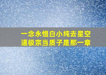 一念永恒白小纯去星空道极宗当质子是那一章