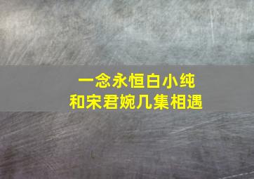 一念永恒白小纯和宋君婉几集相遇