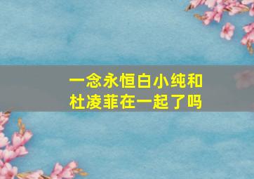 一念永恒白小纯和杜凌菲在一起了吗