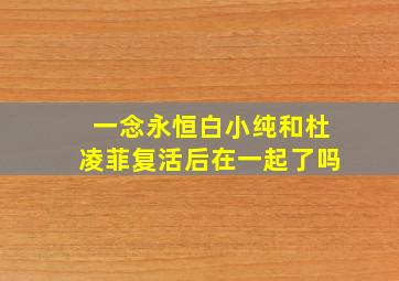 一念永恒白小纯和杜凌菲复活后在一起了吗