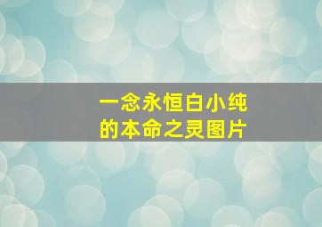 一念永恒白小纯的本命之灵图片