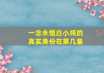 一念永恒白小纯的真实身份在第几集