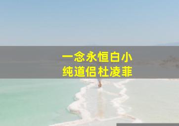 一念永恒白小纯道侣杜凌菲