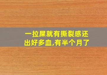 一拉屎就有撕裂感还出好多血,有半个月了