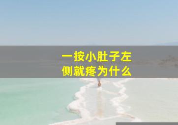 一按小肚子左侧就疼为什么