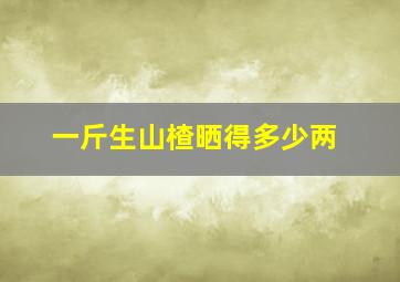 一斤生山楂晒得多少两