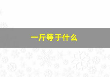 一斤等于什么