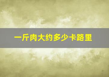 一斤肉大约多少卡路里