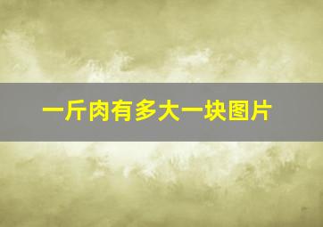 一斤肉有多大一块图片