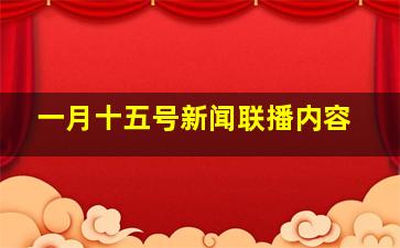 一月十五号新闻联播内容