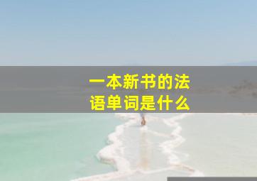 一本新书的法语单词是什么