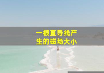 一根直导线产生的磁场大小