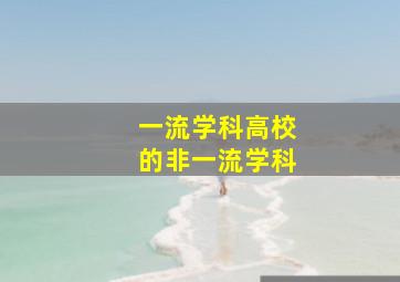 一流学科高校的非一流学科