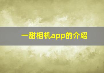 一甜相机app的介绍